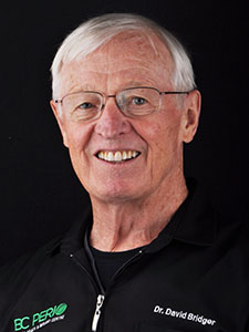 Dr. David V. Bridger